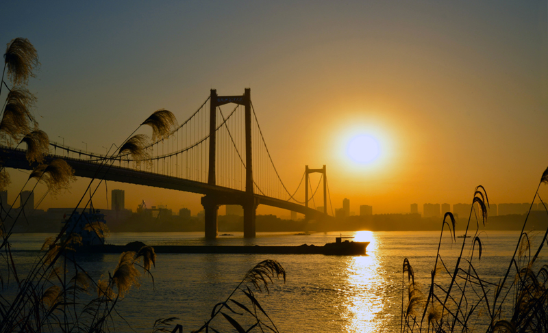 �ƶ����ʡ�(�й�)Ψһ�ٷ���վ