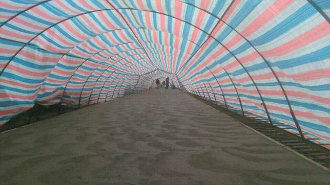 �ƶ����ʡ�(�й�)Ψһ�ٷ���վ