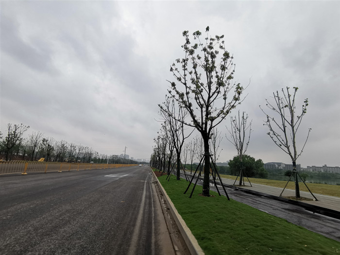 云顶国际·(中国)唯一官方网站